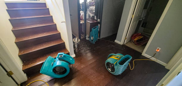  Powells Crossroads, TN Water damage restoration Pros