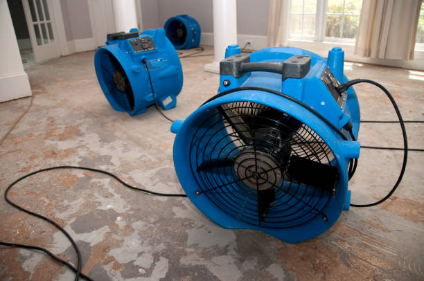 Best Water damage cleanup near me  in Powells Crossroads, TN