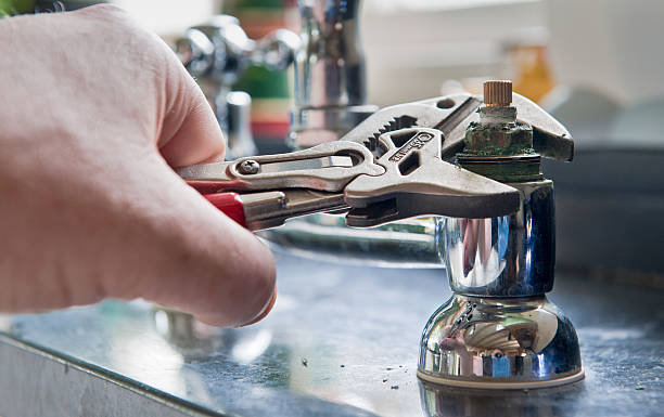 Best Mold removal after water damage  in Powells Crossroads, TN