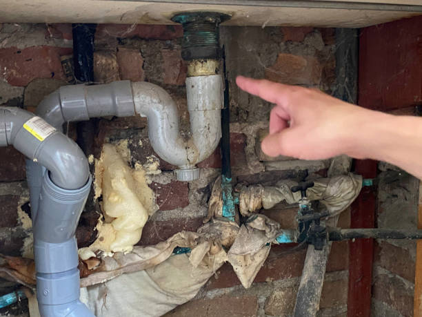 Best Water damage restoration near me  in Powells Crossroads, TN