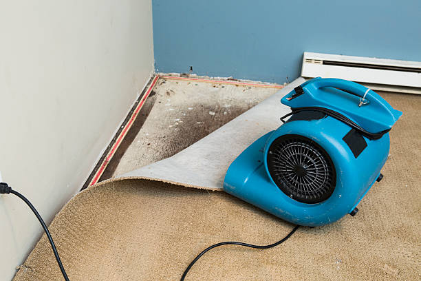 Best Emergency water damage restoration  in Powells Crossroads, TN